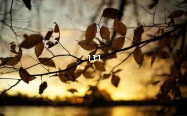 AI智能写作一键生成-高效创作的全新革命