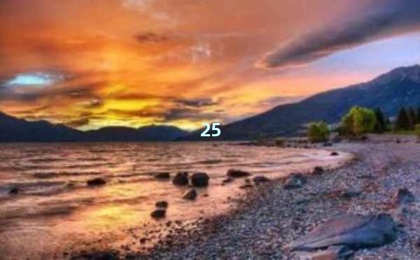 AI智能写作网站：高效写作新时代