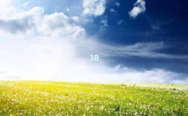 AI智能写作永久免费，创作新天地