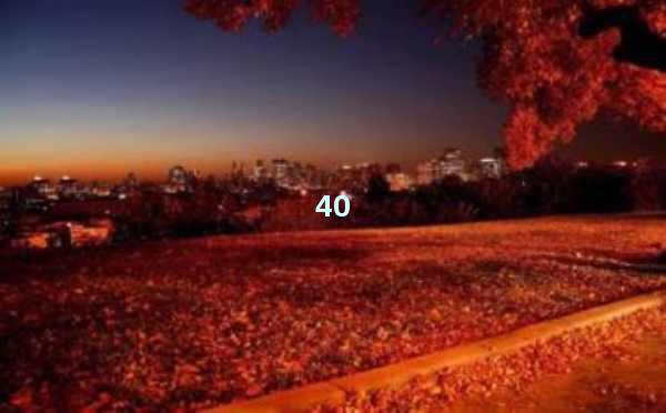 AI智能写作网站在线使用方法