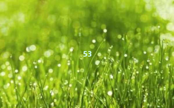 AI智能写作大全：开启写作新时代