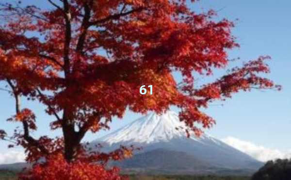 AI智能写作：一键生成免费内容，轻松提升写作效率！