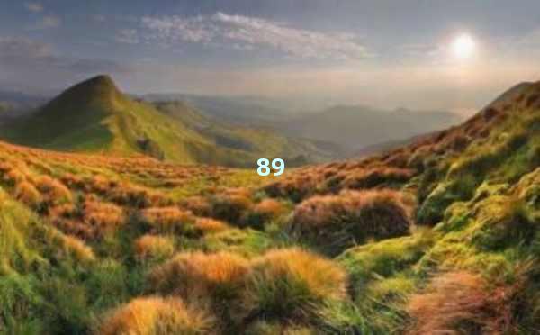 AI智能写作永久免费版：释放创作潜能的新神器